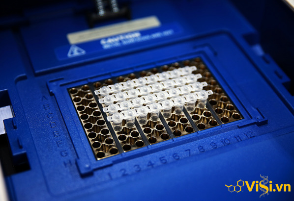 Tuýp (típ) PCR 0.2ml và Đầu tuýp có lọc 10 tuýp (típ) PCR 0.2ml và đầu tuýp có lọc