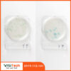 Đĩa Compact Dry YM phân lập Yeast Mold
