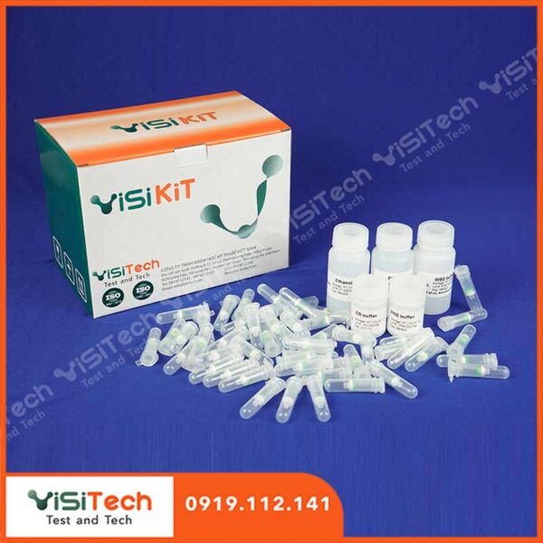 Kit tách chiết DNA từ dịch phết cổ tử cung và âm đạo HPV Extraction Kit HPVEKA-04 Visikit