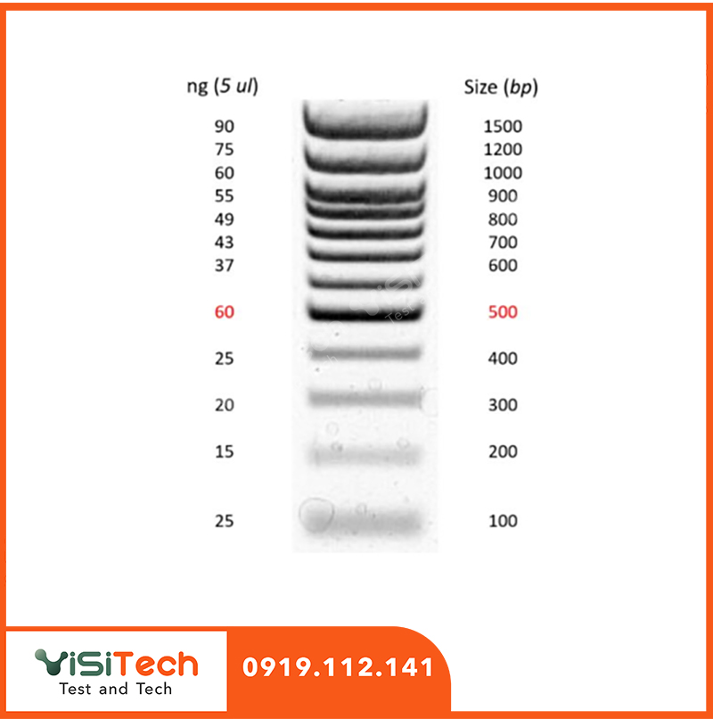 Thang chuẩn DNA 100bp - DNA Ladder 100bp Standard 5 thang chuẩn DNA 100bp giá tốt
