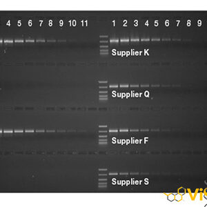 Dung dịch Master Mix PCR - MyTaq Extract PCR Kit