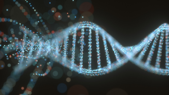 DNA là gì? DNA được phát hiện như thế nào? Cấu trúc xoắn kép của DNA