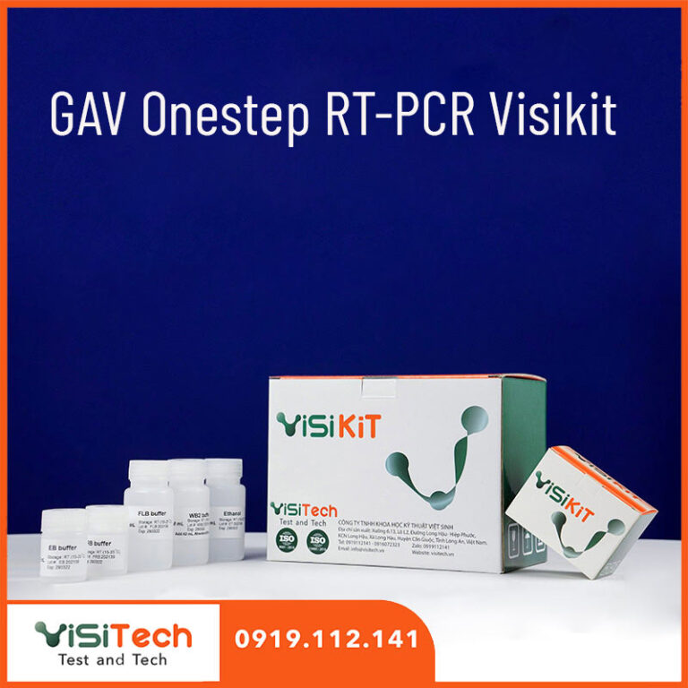 Kit RT-PCR Onestep GAV Visikit FAPA-09