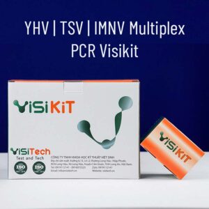 Kit multiplex PCR phát hiện virus YHV TSV IMNV trên tôm nuôi