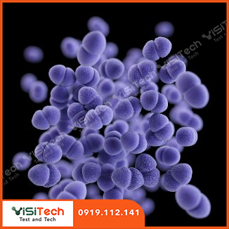 PHƯƠNG PHÁP LỌC MÀNG PHÁT HIỆN VÀ ĐẾM ENTEROCOCCI THEO TCVN 6189 - 2 : 2009/ ISO 7899 - 2 : 2000 1 Enterococci