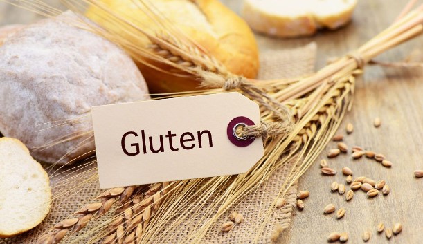 Bộ KIT GLUTENTOX Kiểm Tra nhanh GLUTEN trong Thực Phẩm 1 Kiem tra nhanh gluten trong thuc pham