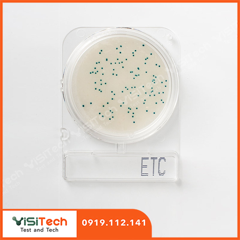 Đĩa Compact Dry kiểm tra Enterococci- Compact Dry ETC - Nissui 1 Đĩa Compact Dry kiểm tra Enterococci- Compact Dry ETC - Nissui