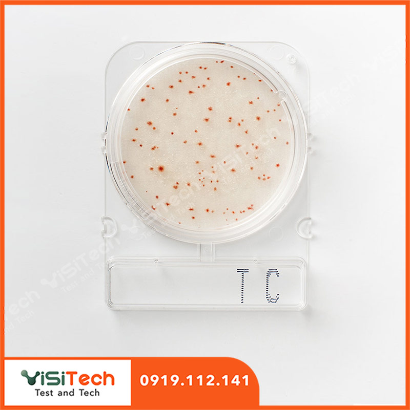 Đĩa Compact Dry kiểm tra Tổng khuẩn hiếu khí- Compact Dry TC 06740/ 06741 - Nissui 1 Đĩa Compact Dry kiểm tra Tổng khuẩn hiếu khí- Compact Dry TC 06740/ 06741 - Nissui