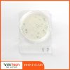 Đĩa Compact Dry kiểm tra Vibrio Parahemolyticus- Compact Dry VP- Nissui 15 Compact Dry VP Vibrio Nissui
