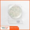 Đĩa Compact Dry kiểm tra Staphylococcus Aureus- Compact Dry X-SA - Nissui 2 Compact Dry X SA Nissui