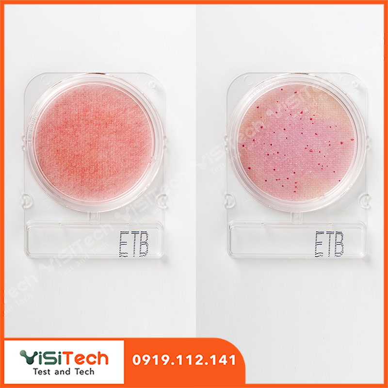 Đĩa Compact Dry kiểm tra Enterobacteriaceae- Compact Dry ETB - Nissui 1 Đĩa Compact Dry kiểm tra Enterobacteriaceae- Compact Dry ETB - Nissui