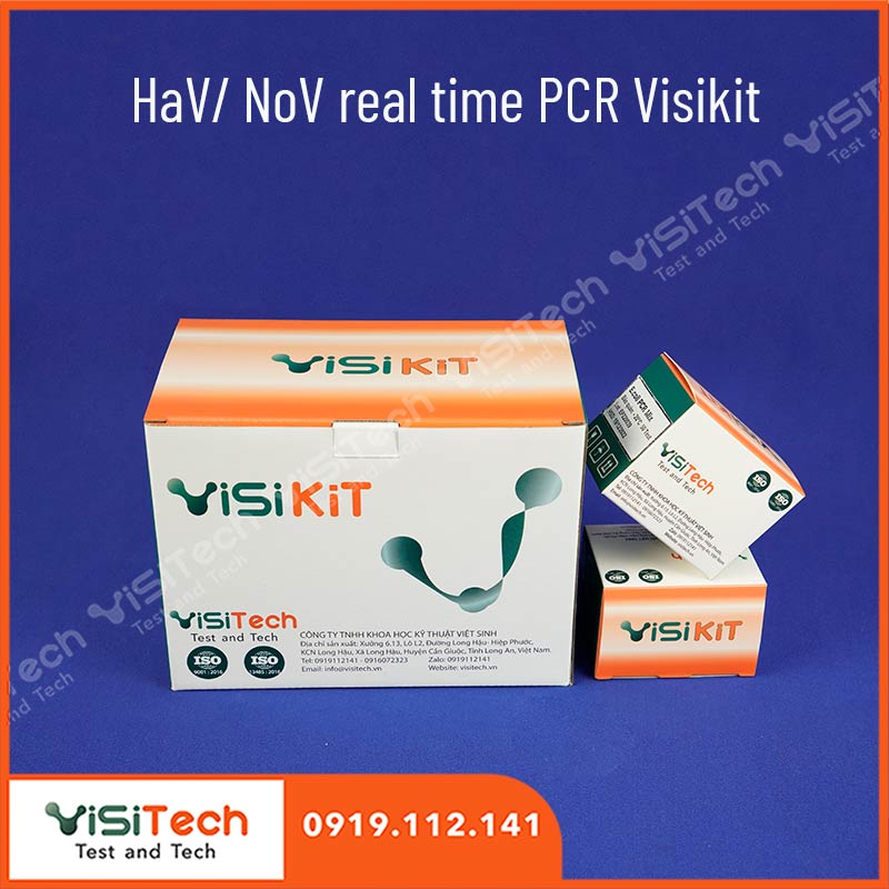 HaV/ NoV real-time PCR Visikit FARA-03 1 HaV/ NoV real-time PCR Visikit FARA-03
