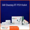 GAV Onestep RT-PCR Visikit FAPA-09 2 GAV Onestep RT PCR Visikit FAPA 09