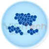 Enterococcus faecalis ATCC® 29212 0366P KWIK STIK - MicroBiologics 10 Staphylococcus 0485P