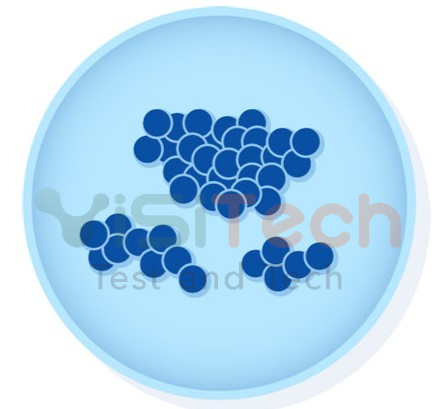 Staphylococcus aureus subsp. ATCC® 25923 0360P KWIK STIK - MicroBiologics 3 Staphylococcus aureus subsp. ATCC® 25923 0360P KWIK STIK - MicroBiologics