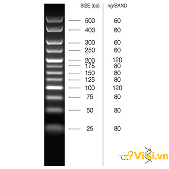 Agarose Tablets Hóa chất điện di chất lượng dạng viên 3 Agarose Tablets Hóa chất điện di chất lượng dạng viên - Ảnh 2