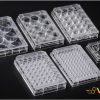 Đĩa nuôi cấy tế bào SPL Hàn Quốc cao cấp hàng chính hãng giá rẻ. 2 ia nuoi cay te bao SPL Han Quoc 1