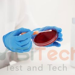 Aspergillus brasiliensis ATCC® 16404 0392P KWIK STIK - MicroBiologics 7 kwik test