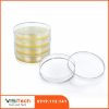 Đĩa petri nhựa Jet Biofil 35 60 90 100 150mm 3 Đĩa petri nhựa Jet Biofil chất lượng