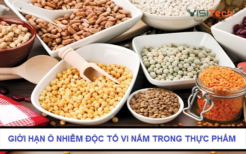 Giới hạn ô nhiễm độc tố vi nấm trong thực phẩm - QCVN 8-1:2011/BYT 16 Giới hạn ô nhiễm độc tố vi nấm trong thực phẩm