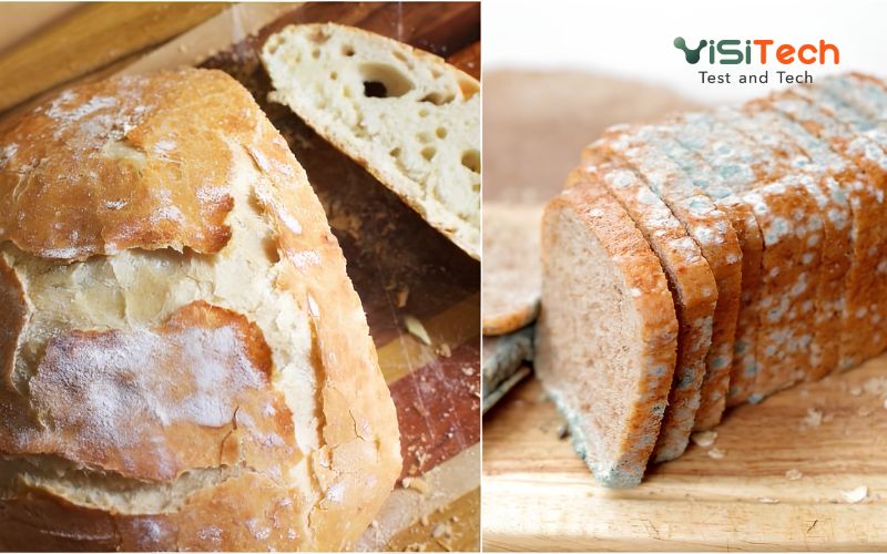 Giới hạn ô nhiễm độc tố vi nấm trong thực phẩm - QCVN 8-1:2011/BYT 11 Giới hạn ô nhiễm độc tố vi nấm trong thực phẩm - QCVN 8-1:2011/BYT