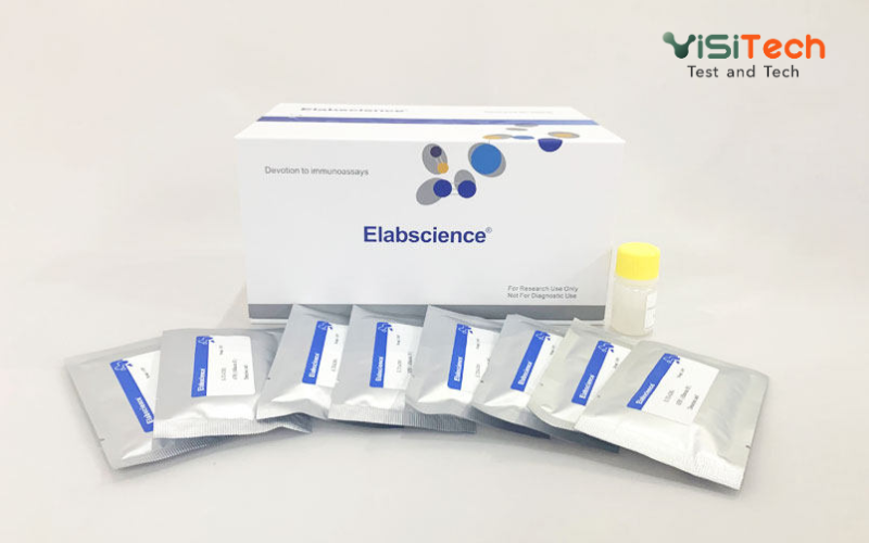 Kiểm tra dư lượng kháng sinh trong sữa theo theo 24/2013/TT-BYT 13 Test nhanh dư lượng kháng sinh Chloramphenicol trong sữa