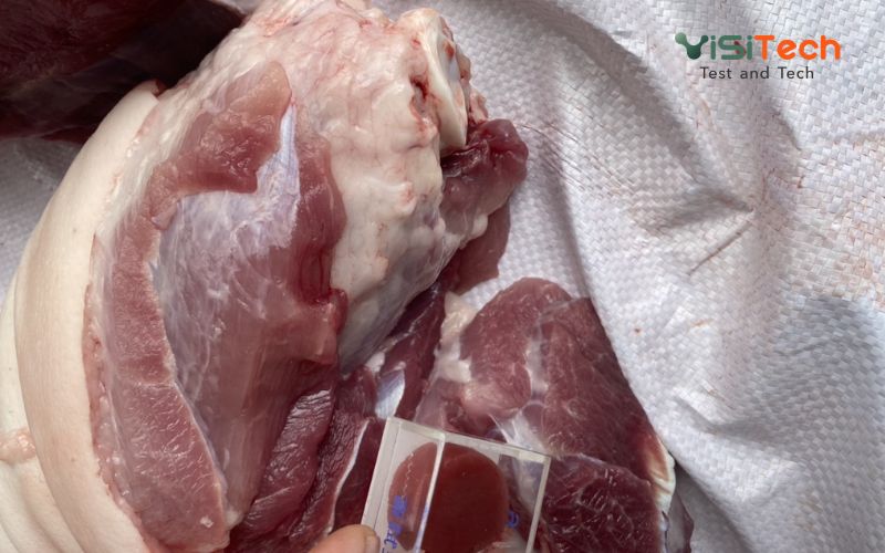 Chất tăng trọng Ractopamine là gì? Vì sao chất tạo nạc bị cấm trong thực phẩm 10 Nguy cơ tồn dư Ractopamine trong thịt heo, thịt bò và nội tạng động vật