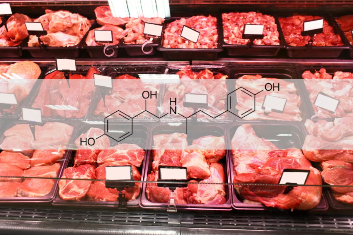 Chất tăng trọng Ractopamine là gì? Vì sao chất tạo nạc bị cấm trong thực phẩm 7 Chất tăng trọng Ractopamine là gì? Vì sao chất tạo nạc bị cấm trong thực phẩm