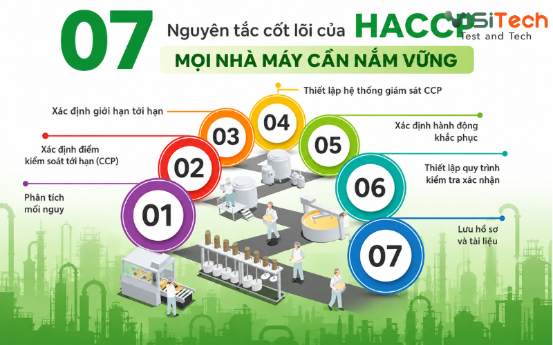 Tiêu chuẩn HACCP là gì? Nguyên tắc về an toàn thực phẩm 20 7 nguyên tắc cốt lõi của HACCP