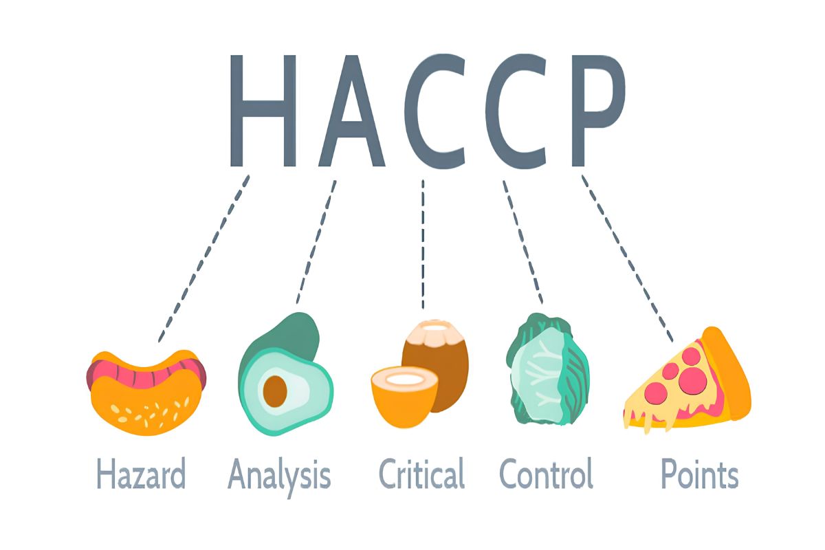 Tiêu chuẩn HACCP là gì? Nguyên tắc về an toàn thực phẩm 13 Tiêu chuẩn HACCP là gì? Nguyên tắc về an toàn thực phẩm